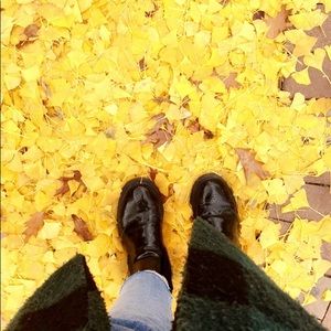 Meet your Posher, Sophie